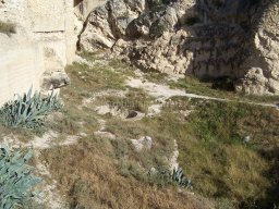 Castillo de Mula 2010